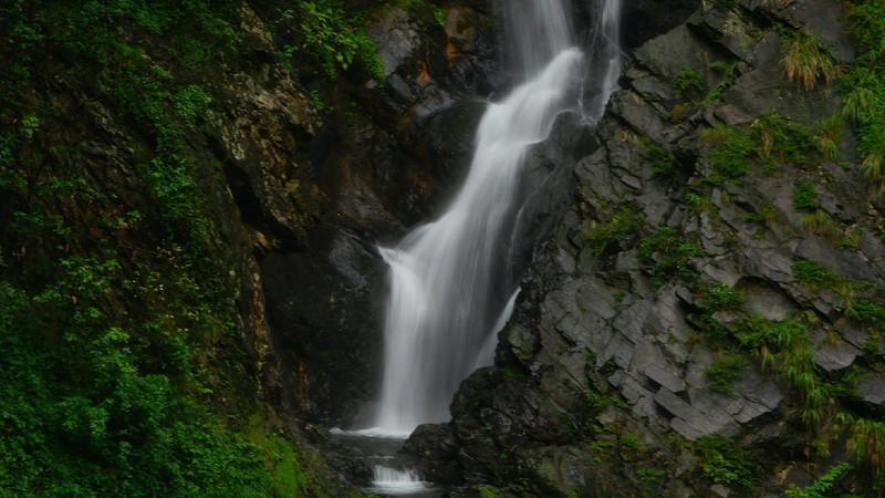 注意躲避
