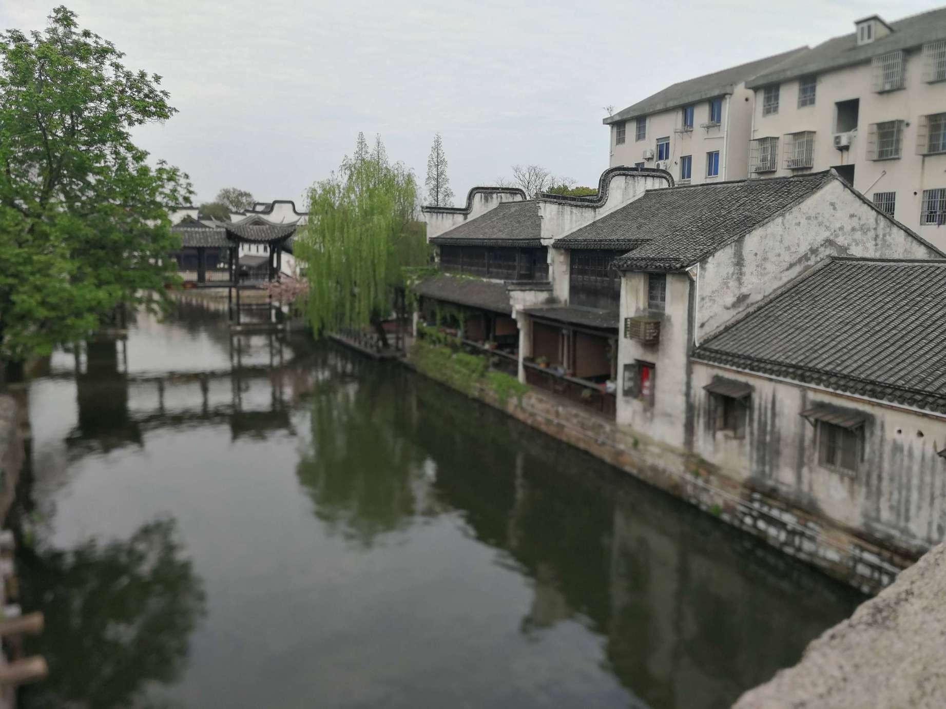 救援可爱的狮子
